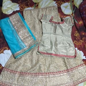 Gold Embroidered Lehenga Choli Set