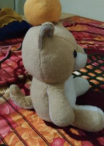 Teddy