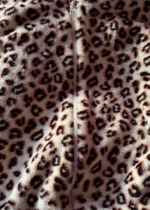 Leopard Print Onesie