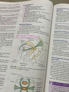 Vishram Singh Anatomy Textbooks ALL volumes