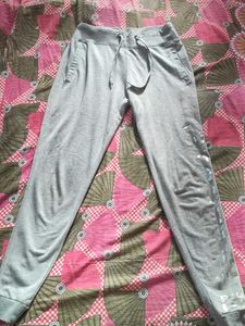 Spunk Grey Jogger Pants