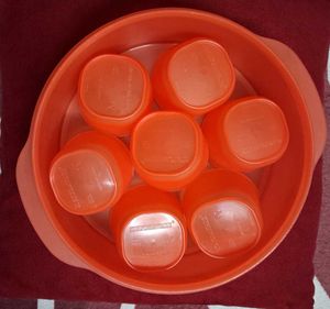 Signoraware Container with Lid