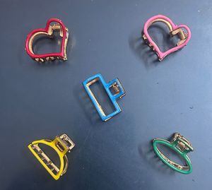 Set of 5 Cute Steel Hair Clips