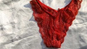 Sheer Lace Red Briefs