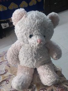 Soft Plush Teddy Bear Toy