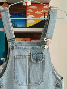 Light Wash Denim Overalls