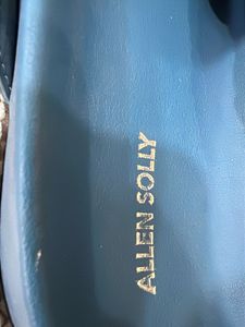 Allen Solly Blue Buckle Slides