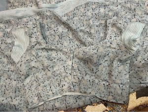 Elegant Printed Blouse & Saree