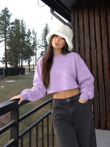 Lavender Cropped Sweatshirt