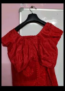 Stunning Red Embroidered Saree