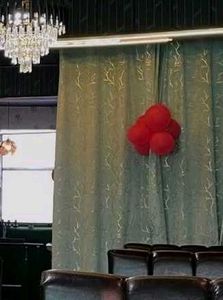 premium velvet leaf design door curtain