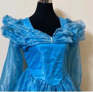 Enchanting Cinderella Blue Ball Gown