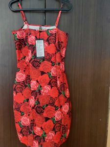Red Rose Print Mini Dress