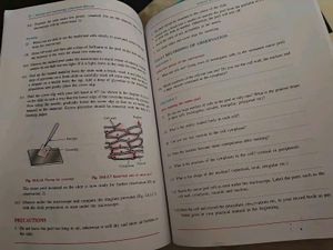 Class-X   3 NIOS Science and Technology Books New