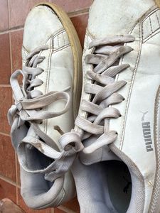 White Puma Sneakers