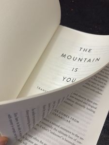 The Mountain is You by Brianna Wiest