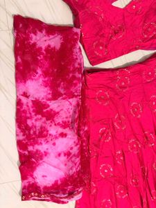 rani Pink Embroidered with sequins Lehenga Choli S