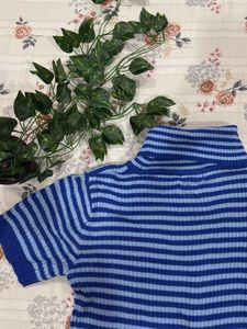 Blue Striped Sweatshirt