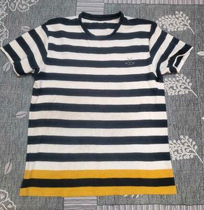 Striped Men's T-Shirt