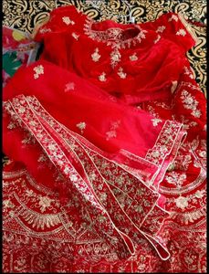 Red Velvet Lehenga Choli with Gold Embroidery