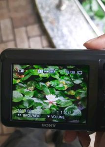 Sony Cyber-shot Digital Camera DSC-S5000