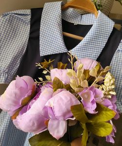 Cute Gingham Collared Dress