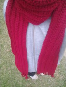 Mikasa scarf