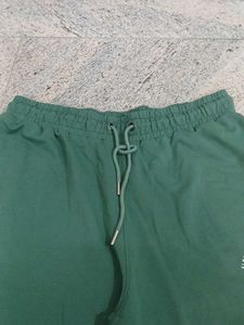 Roadster Comfortable Green Sweatpants