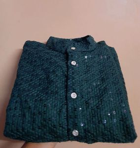 Elegant Green Kurta with Sequins