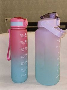 Gradient Water Bottle Set