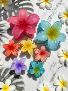 🎀 BUY 5 MINI CLIPS &amp; GET 2 BIG FLOWER  FREE