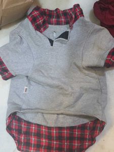 Zigly Dog Sweatshirt