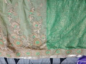 Green Embellished Saree