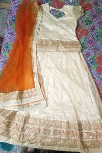 Net Embroidered Lehenga