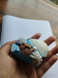 Sea Shell Paper Weight!