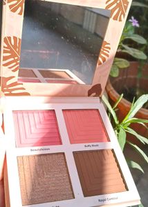 MATT LOOK Tone &amp; Glaze Palette
