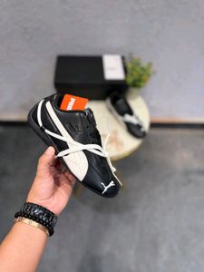 Puma Giris