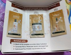 Streax Professional Hair Repair Regime Kit
