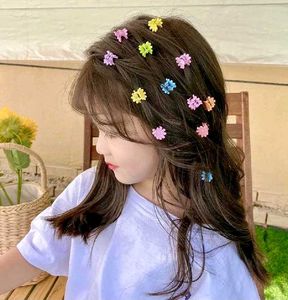 Mini Hair Claw Clips - Set of 4