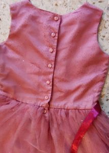 Birthday Onion Pink net and satin dress