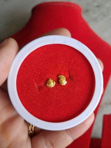 Elegant Gold nosepin