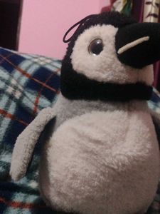 Cute Penguin Plush Toy