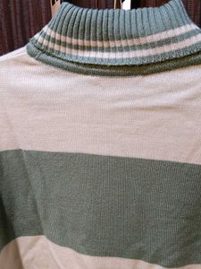Roadster Striped Turtleneck Sweater