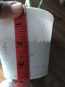 12 White Plastic Plant Pots