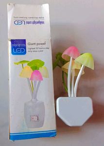 LED Mushroom Night Light