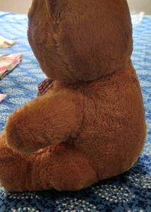 Soft Toy 🧸 Teddy Bear