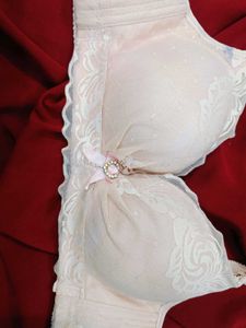 🇳🇿💫🎀Lace Trimmed Padded Bra