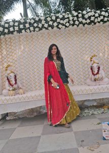Beautiful Multipurpose Lehenga Choli
