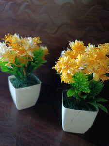 Mini Decorative Flower Pot