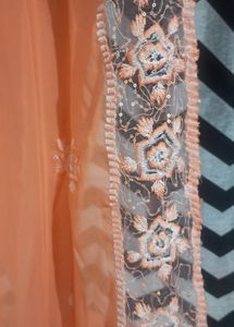Beautiful Saree Coral Colour With Blause